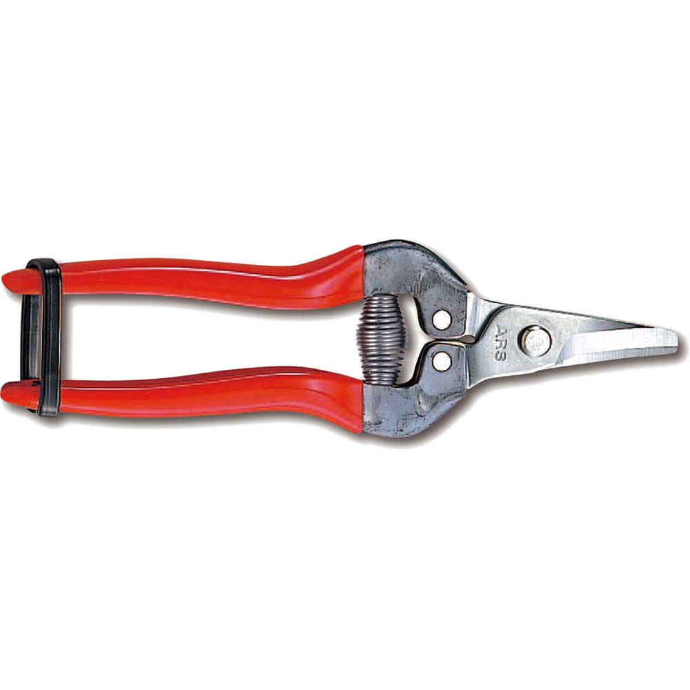 Image of ARS 310DX Fruit Pruner with Stainless Steel Blade 170mm Long