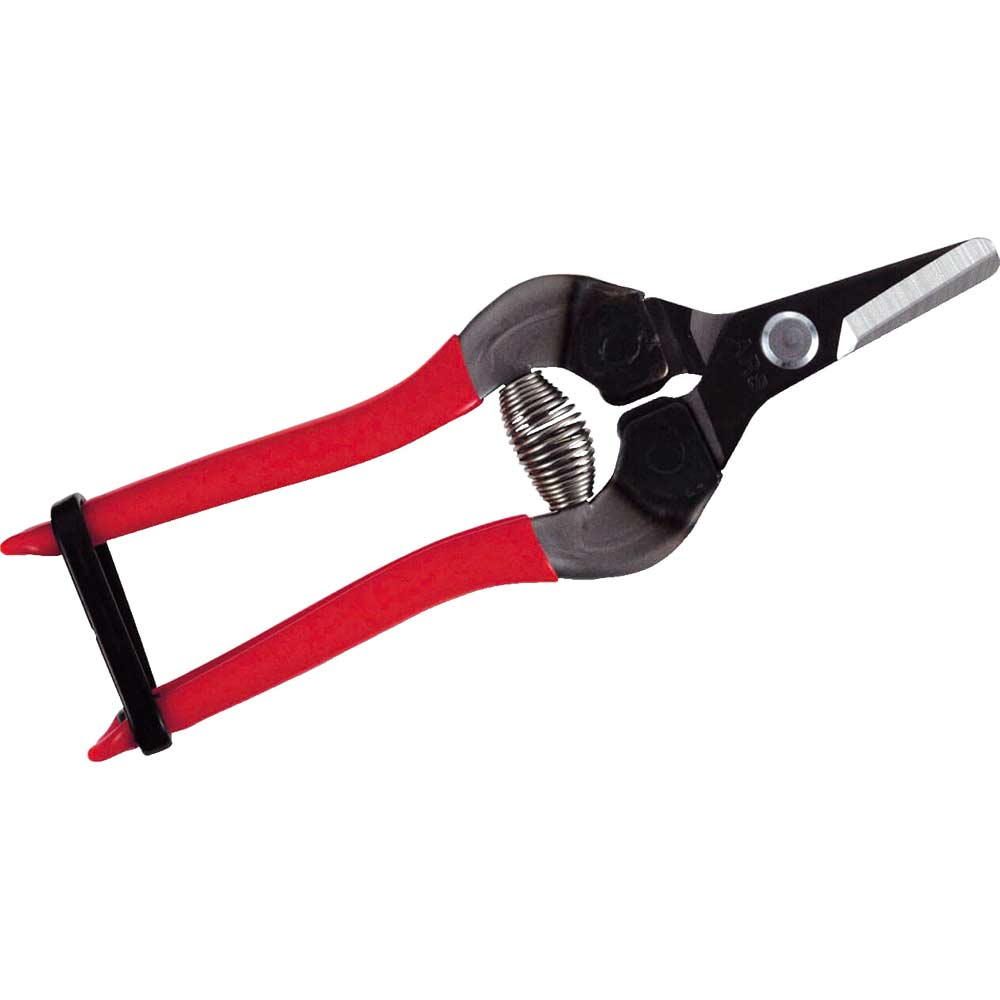 Image of ARS 310-T Curved Blade Fruit Pruner 160mm Long