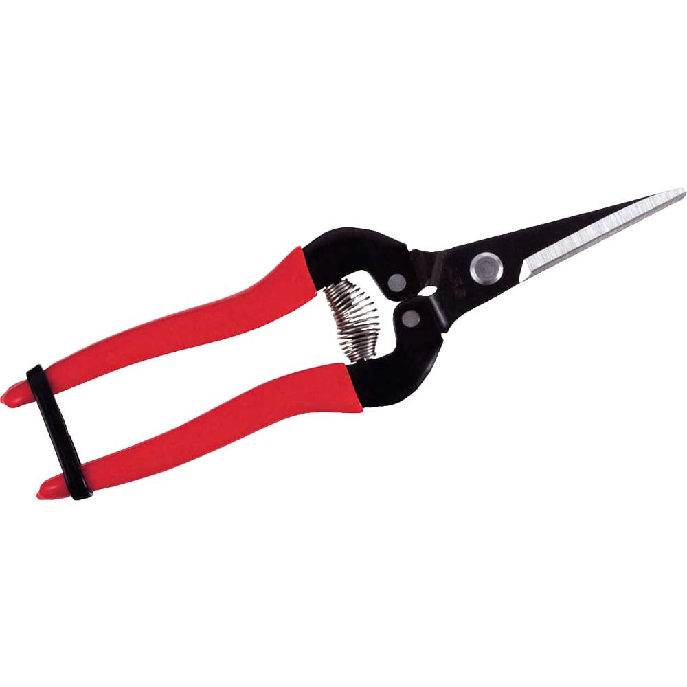 Ars 300L Pointed Fruit Pruner