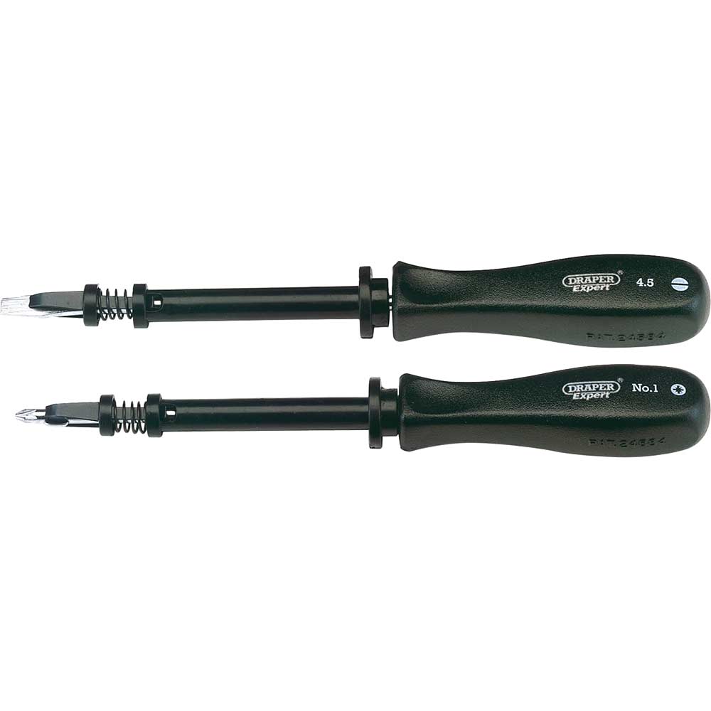 Photo of Draper Expert 2 Piece Screwdriver Set