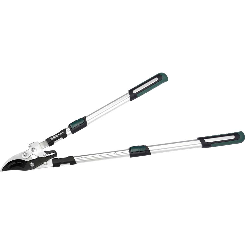 Photo of Draper Expert Telescopic Ratchet Bypass Loppers 695mm