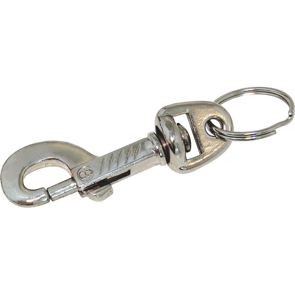 Image of CK Snap Hook and Keyring