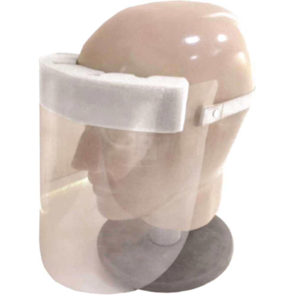 Image of Bolle Disposable Face Screen Shield