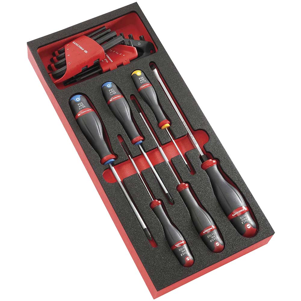 23 Piece Screwdriver and Key Set in Module Tray Screwdrivers