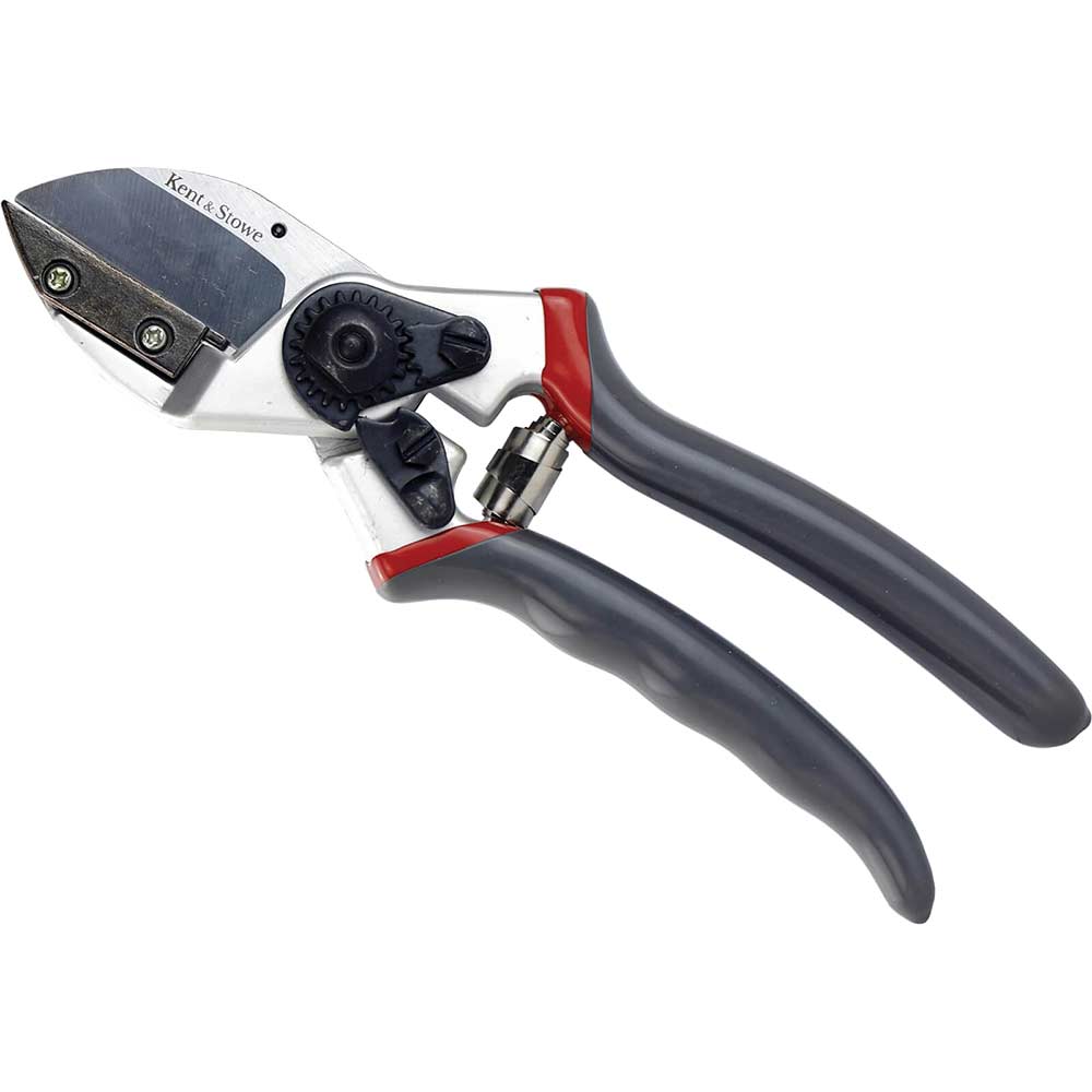 Photo of Kent And Stowe Anvil Secateurs