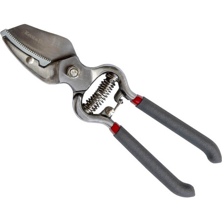 Kent and Stowe Traditional Anvil Secateurs