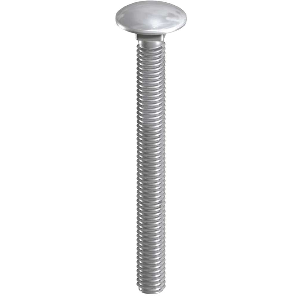 Coach Bolts Stainless Steel Coach Bolts