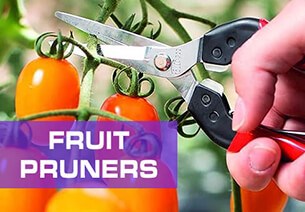 Fruit Pruners