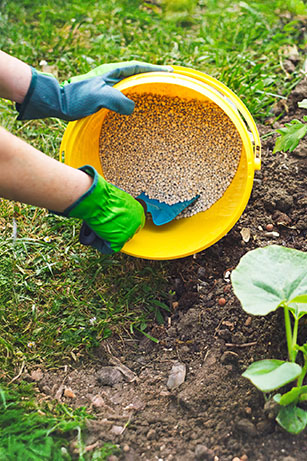 Chemicals & Fertilisers