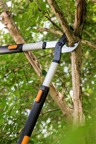 Loppers, Pruners & Saws