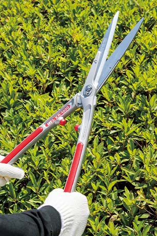 ARS Garden Shears