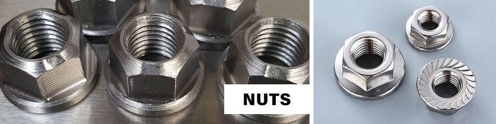 Nuts Flange Channel Pronged Tee Wing