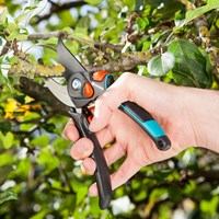 Secateurs