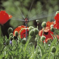 System Garden Sprinklers