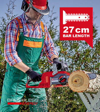 Einhell FORTEXXA 18-30 18v Cordless Chainsaw OREGON saw chain