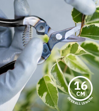 • Marquench hardened blade for long-lasting sharpness
• Curved blade design enables precise cutting
• Overall Length: 160mm ARS 310-BK Curved Blade Fruit Pruner 160mm