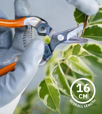 • Marquench hardened blade for long-lasting sharpness
• Curved blade design enables precise cutting
• Overall Length: 160mm ARS 310-O Curved Blade Fruit Pruner 160mm