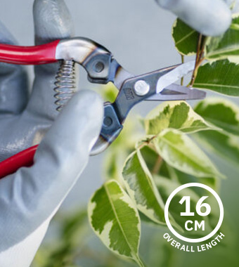 • Marquench hardened blade for long-lasting sharpness
• Curved blade design enables precise cutting
• Overall Length: 160mm ARS 310R Curved Blade Fruit Pruner 160mm