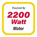 Webb WEECS402200 Electric Motor
