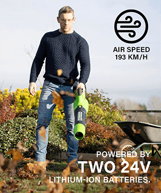 Greenworks G24X2AB Leaf Blower