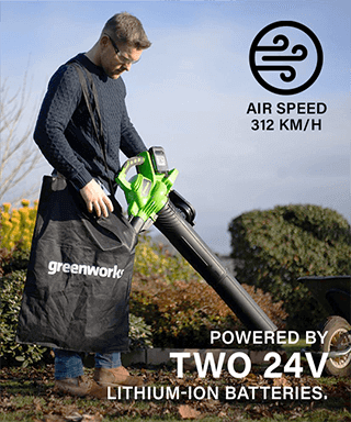 Greenworks GD24X2BV Leaf Blower Vacuum