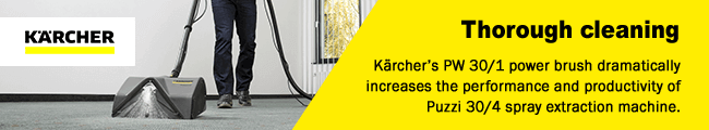 Karcher PW301 Cleaning