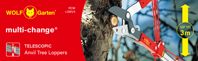 Wolf Garten Multi-Change
Telescopic Anvil Tree Loppers
Cutting Head RCM and
Telescopic Handle ZMV3 170-300cm Wolf Garten MultiChange RCM ZMV3 Telescopic Anvil Tree Loppers