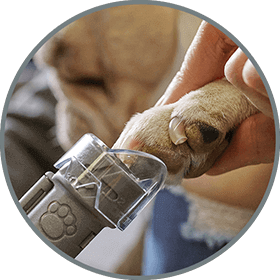 Dremel Pet Nail Grooming Kit