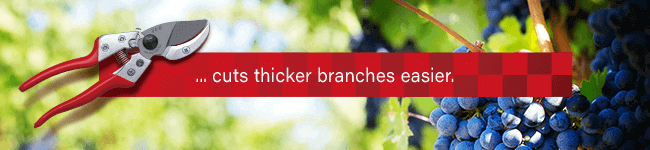 ARS VA-8Z
Cuts thicker branches easier. ARS VA8Z Secateurs