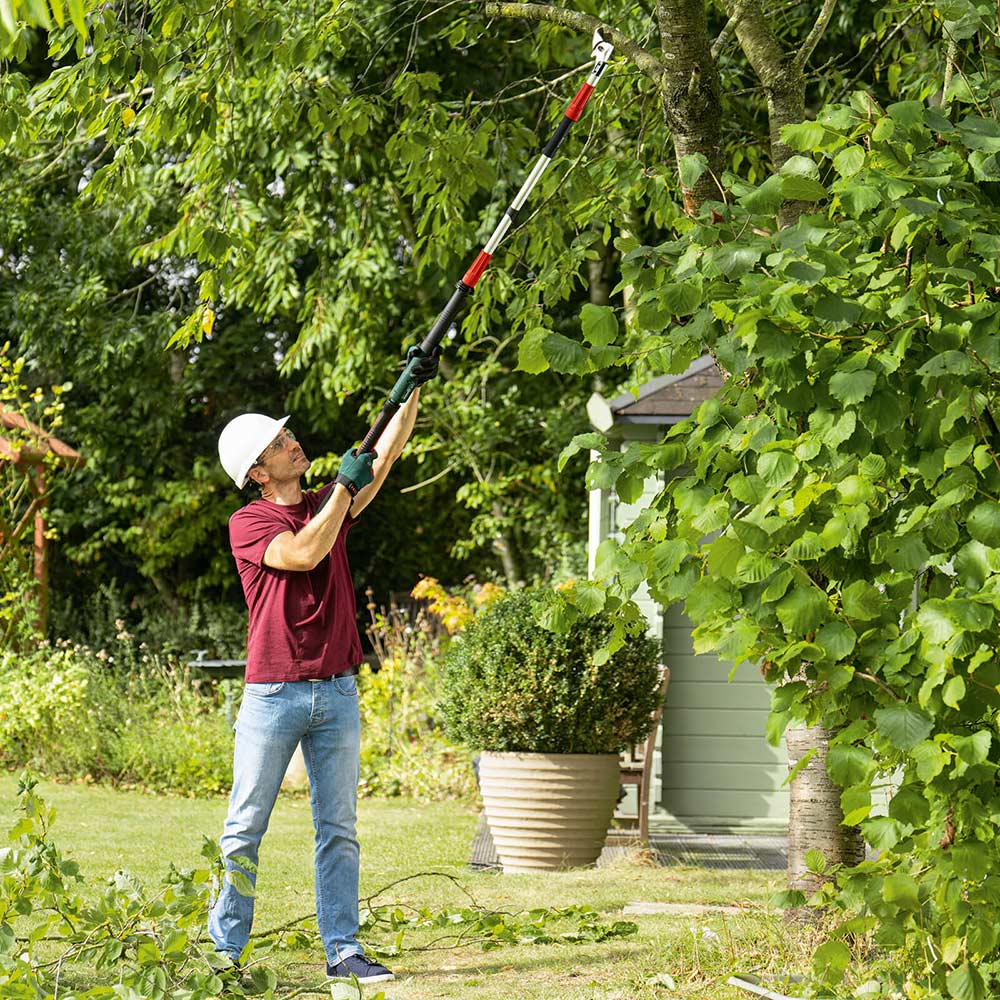 Bosch ADVANCEDPRUNE 18V 45 P4A 18v Cordless Tree Pruner Pole