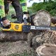 DeWalt DCMCS575 54v battery powered chainsaw which delivers performance on a par with 50cc petrol