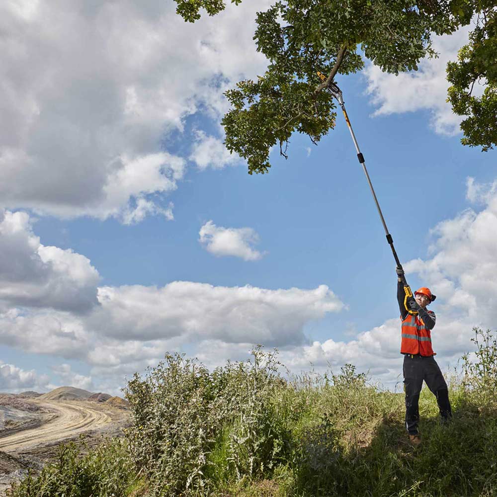 Dewalt online telescopic chainsaw