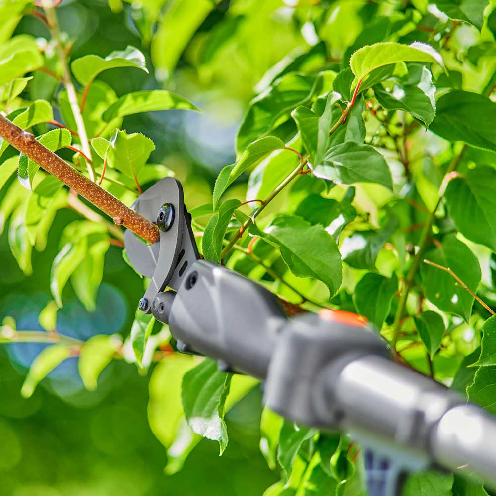 6 Pz Set Salotti Da Giardino Con Cuscini In Polyrattan Grigio CFW23376 - Foto 3