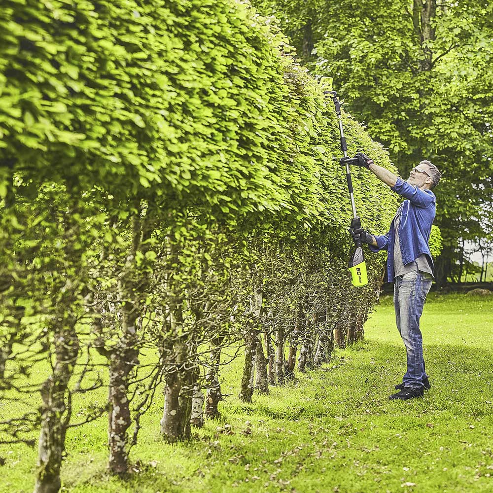 Greenworks GD60PHT51 60v Cordless Brushless Long Reach Hedge