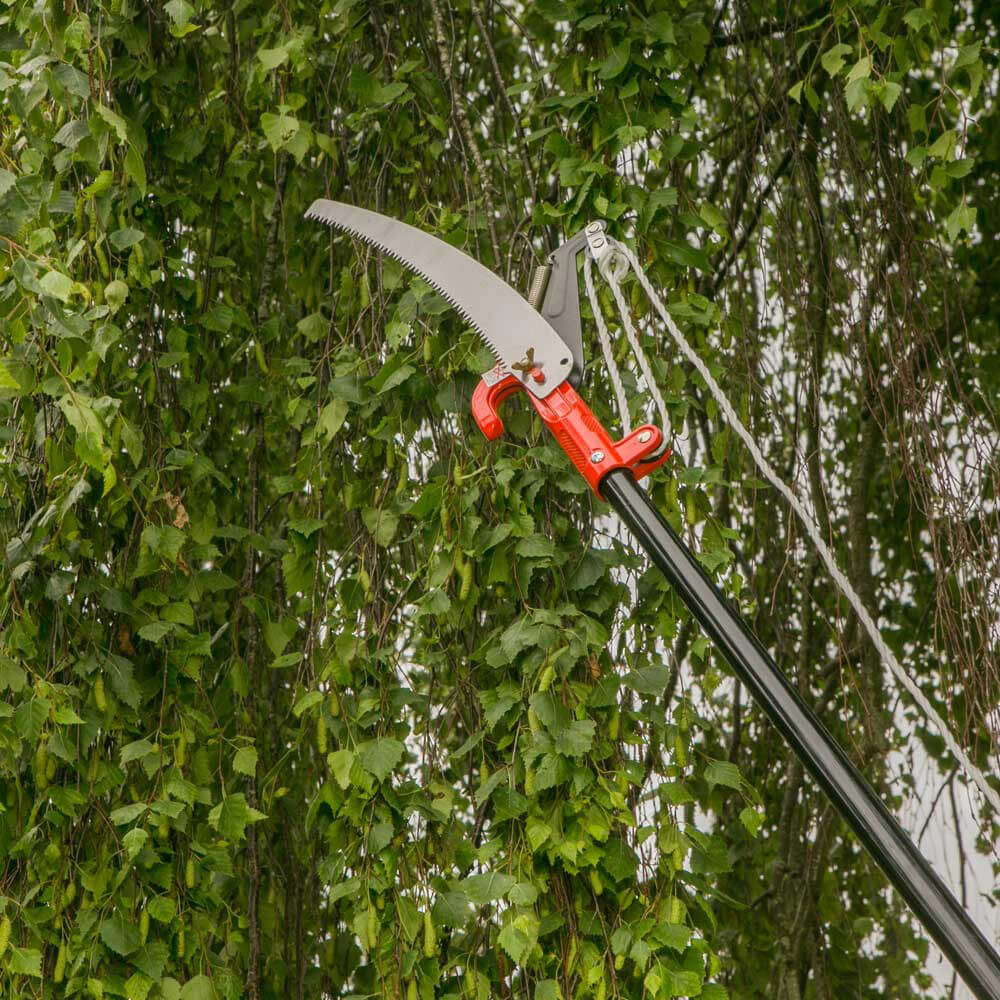 Wilkinson Sword Telescopic Tree Pruner and Saw Tree Loppers Pruners