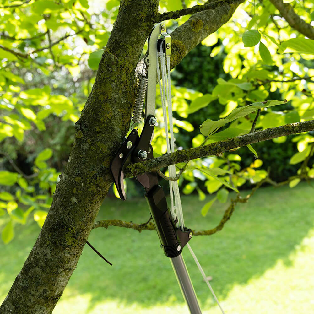 Wilkinson tree pruner discount