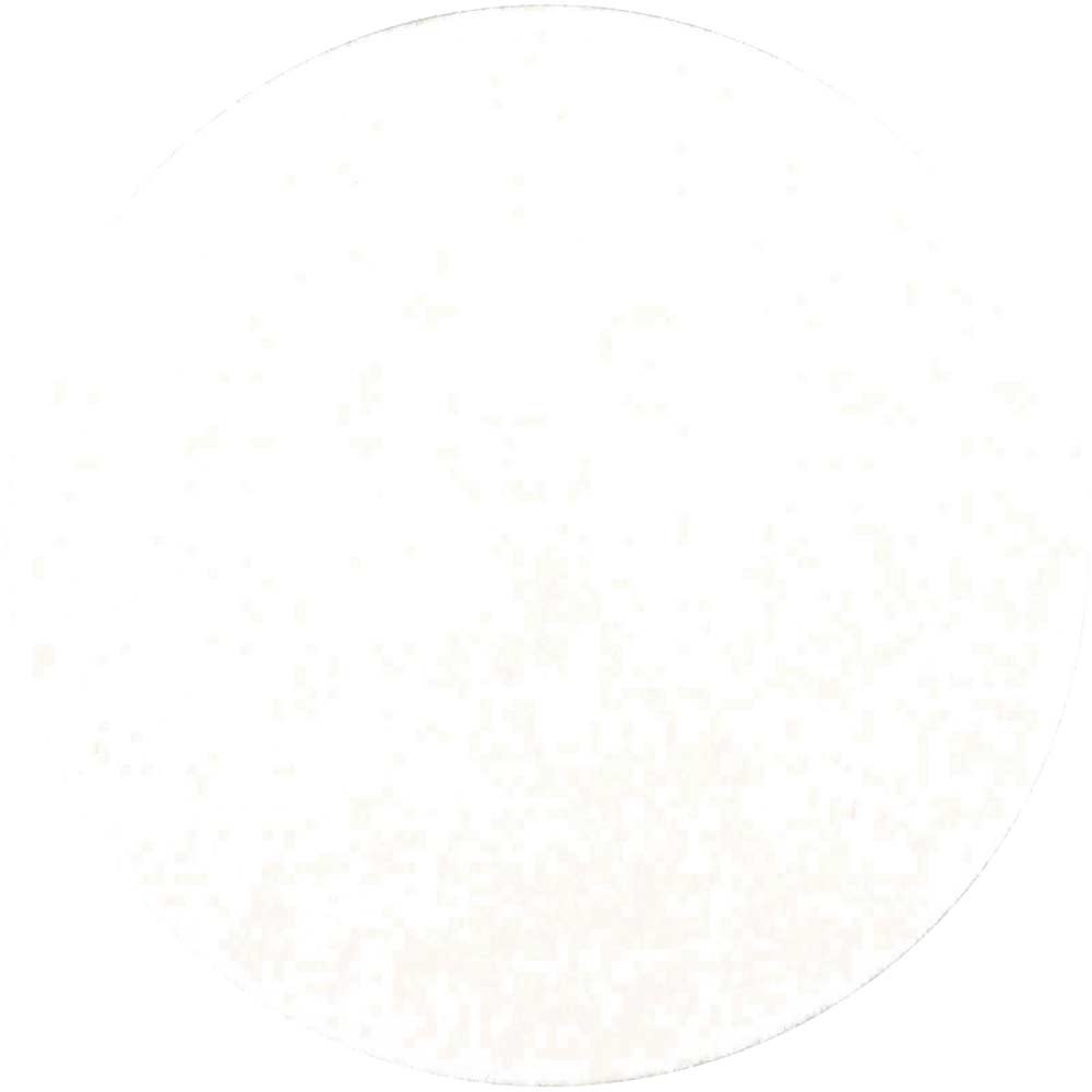 Polisher Felt Pad 125mm