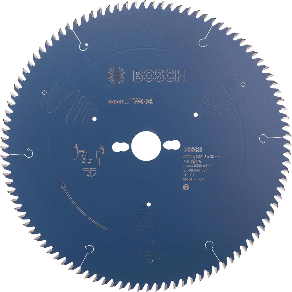 Bosch Expert CSB for Wood Circular Saw Blade 300mm 100T 30mm