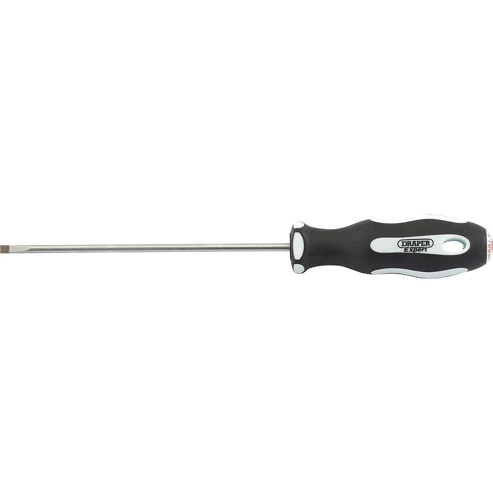 Draper Expert Parallel Slotted Screwdriver 3mm 100mm