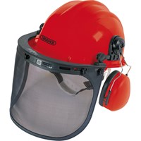 Draper Forestry Helmet Mesh Visor and Ear Defenders