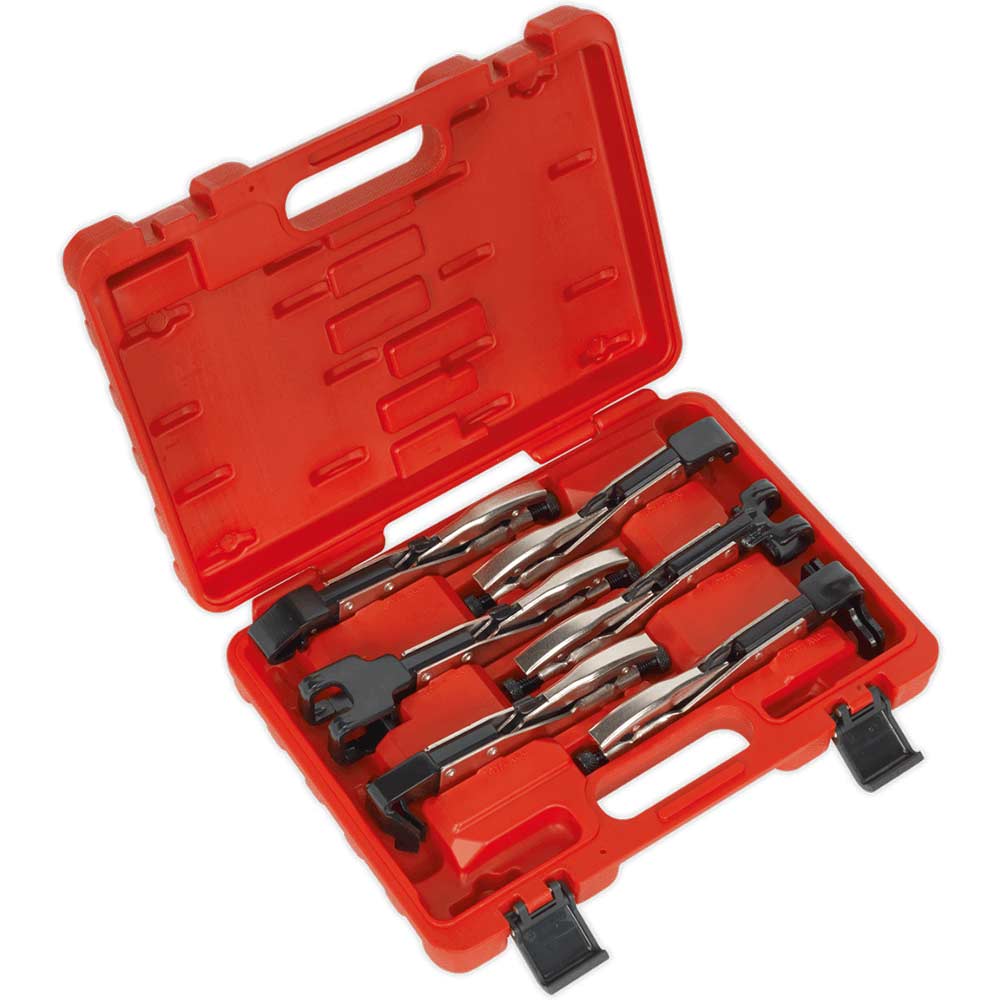 Sealey 6 Piece Axial Locking Grip Clamp Set