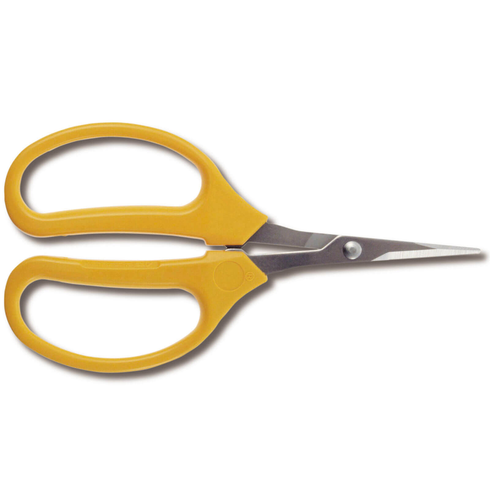 Image of ARS 320 Straight Stainless Steel Fruit Pruner Scissors