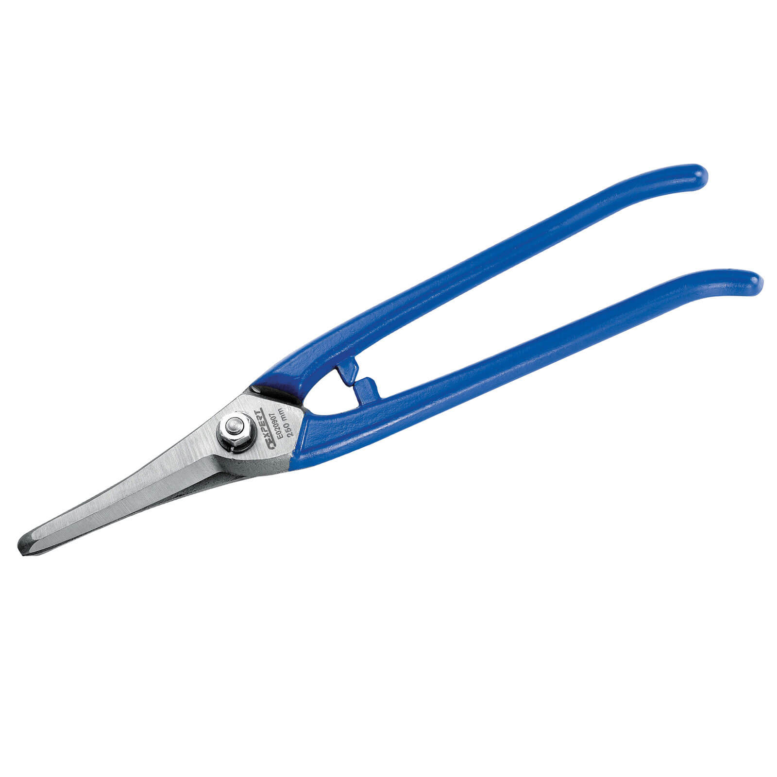 Photos - Other Hand Tools Expert by Facom Universal Metal Shears Straight Cut 250mm E020907 