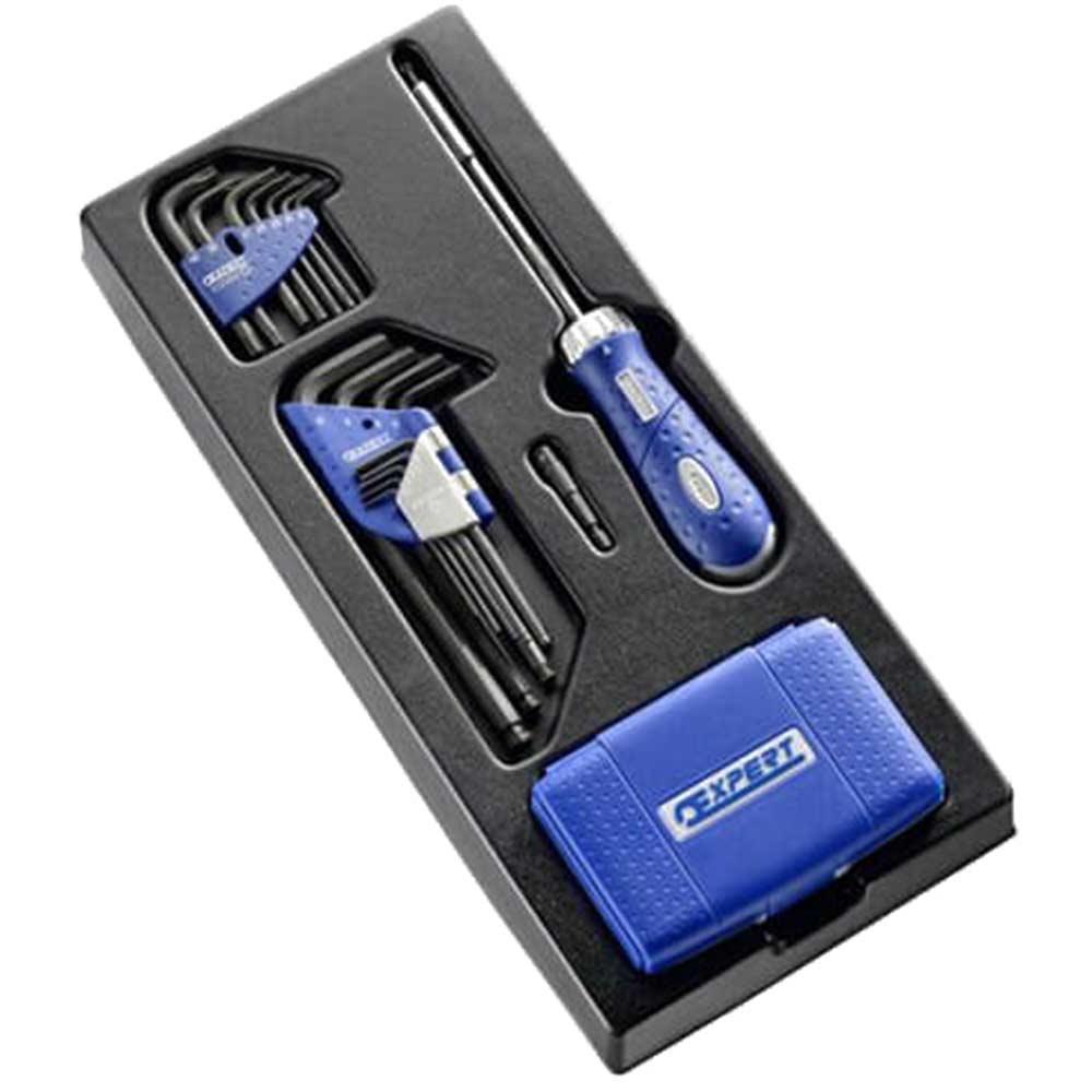 Image of Expert by Facom 74 Piece Ratchet Screwdriver and Allen Key Set Metric in Module Tray