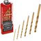 Einhell 6 Piece HSS-G Titanium Coated Drill Bit Set  Einhell 6 Piece HSS-G Titanium Coated Drill Bit Set