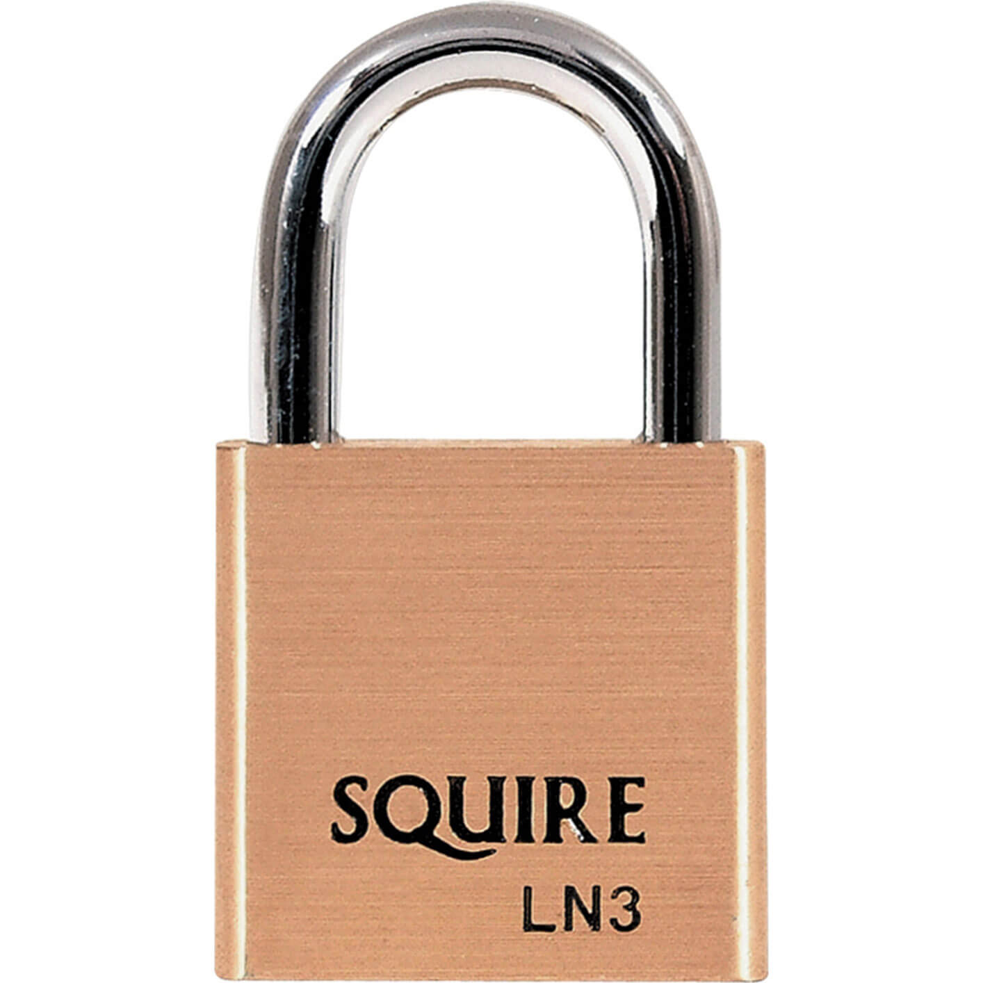 Image of Squire Lion Series Brass Padlock 30mm Standard