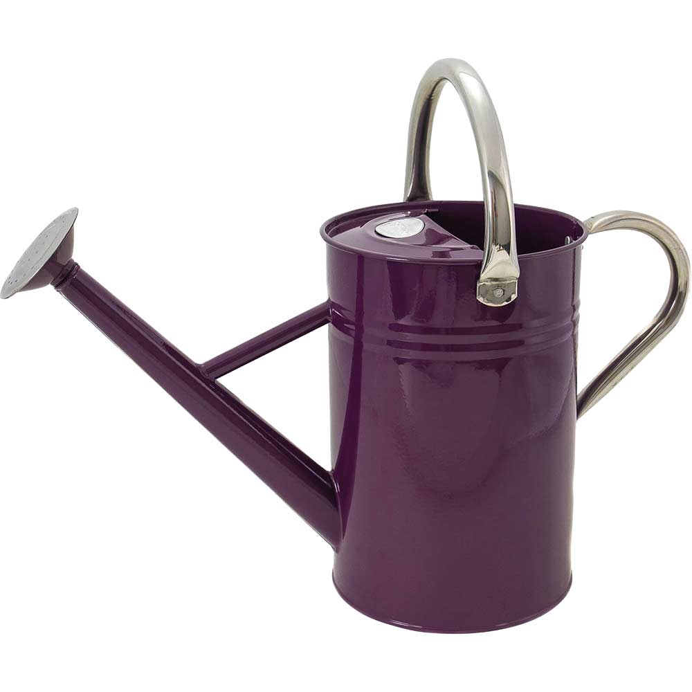 Image of Kent & Stowe Metal Watering Can Violet 4.5l