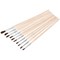 Sealey 10 Piece Touch Up Paint Brush Set 