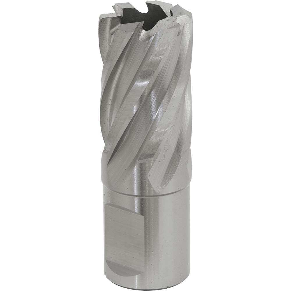 Image of Sealey Rotabor Weldon Shank HSS Mag Drill Cutter 20mm 25mm