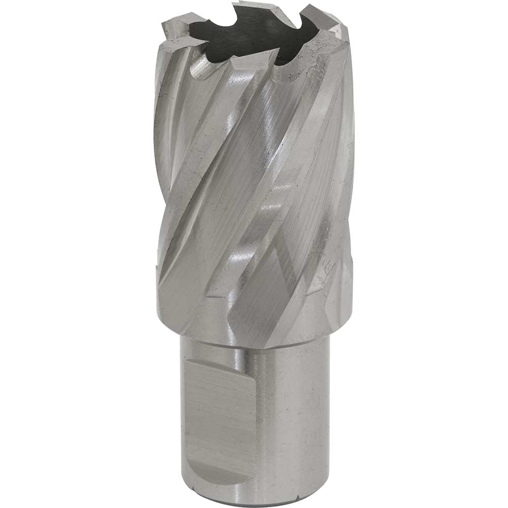 Image of Sealey Rotabor Weldon Shank HSS Mag Drill Cutter 24mm 25mm